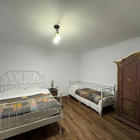 Vila Speranta Pleşcoi Dış mekan fotoğraf