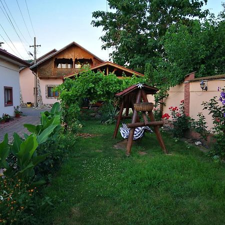Vila Speranta Pleşcoi Dış mekan fotoğraf