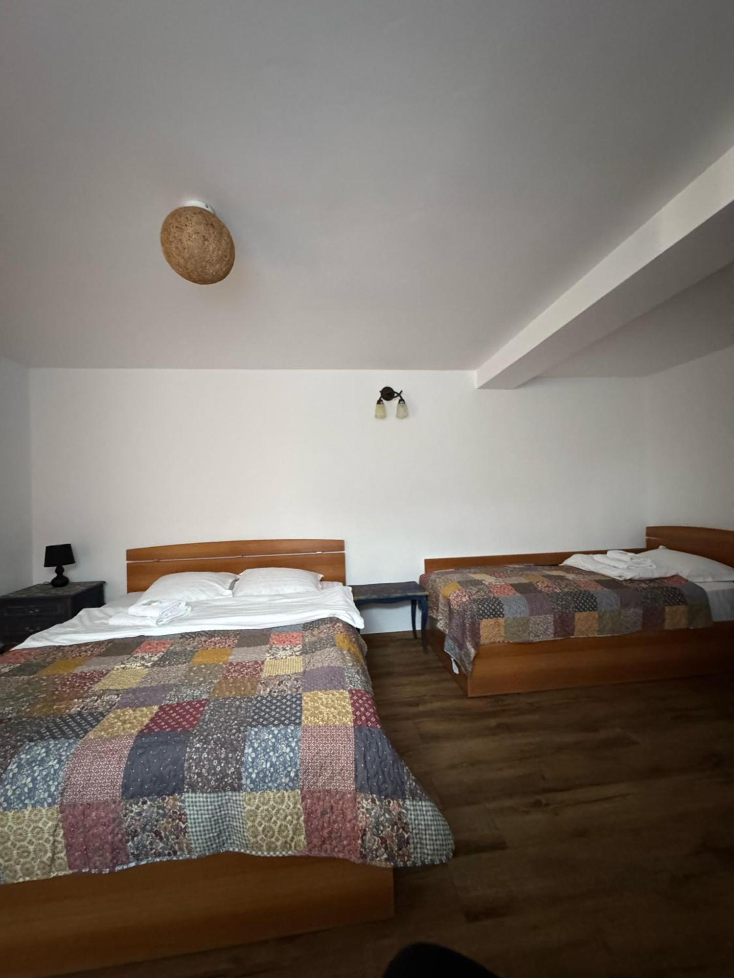 Vila Speranta Pleşcoi Dış mekan fotoğraf