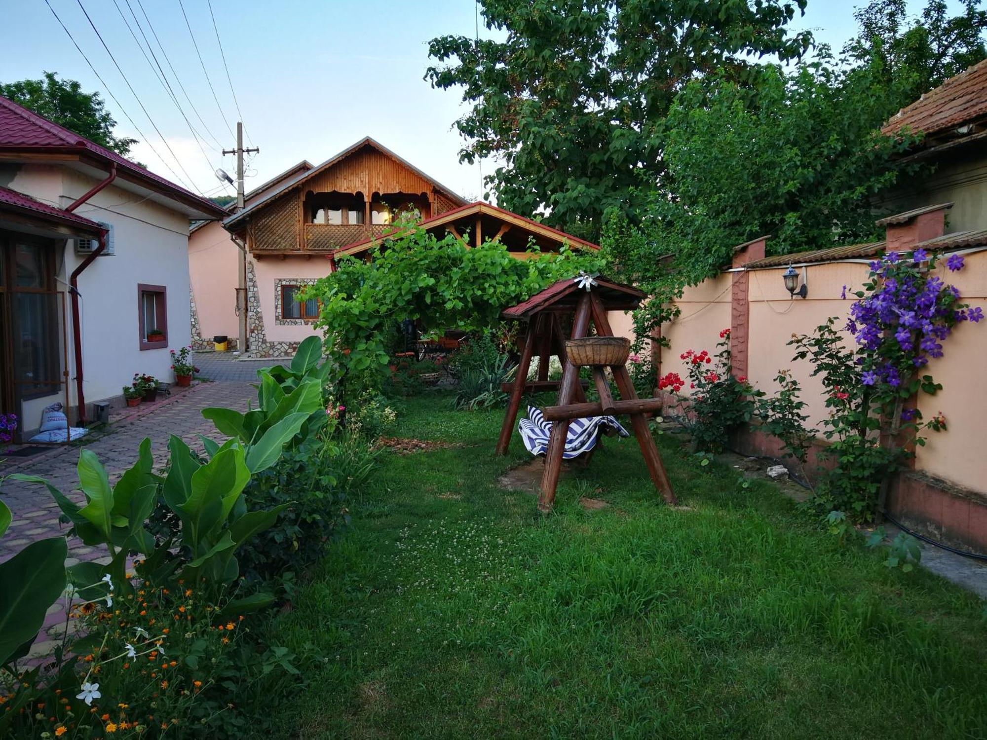Vila Speranta Pleşcoi Dış mekan fotoğraf